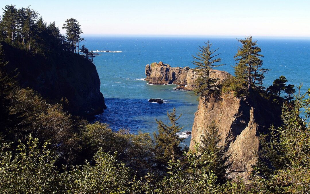 Oregon Treehouse Adventures ~ Quick Peek: Your Oregon Adventure Sneak…