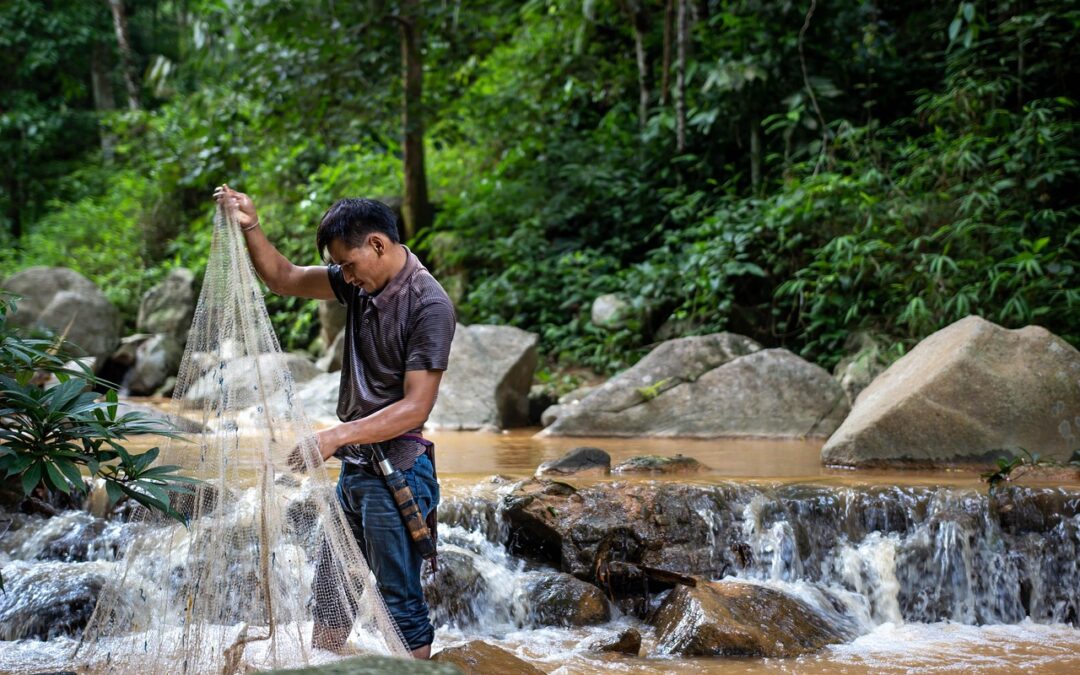 River Rafting Adventures In Cave Junction &raquo; “`html River Rafting…