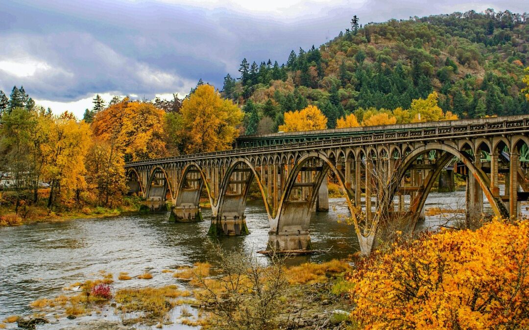 Sustainable Treehouse Vacations In Oregon: Branch Out: Discover Sustainable Treehouse…
