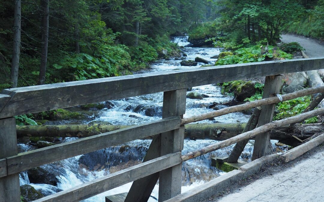 Best Hiking Trails Near Oregon Caves ~ Your Ultimate Adventure…
